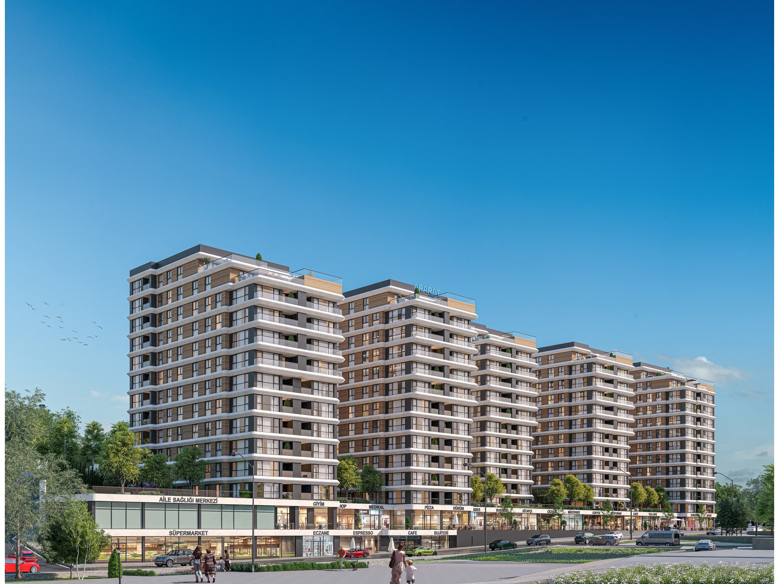 Project image 8