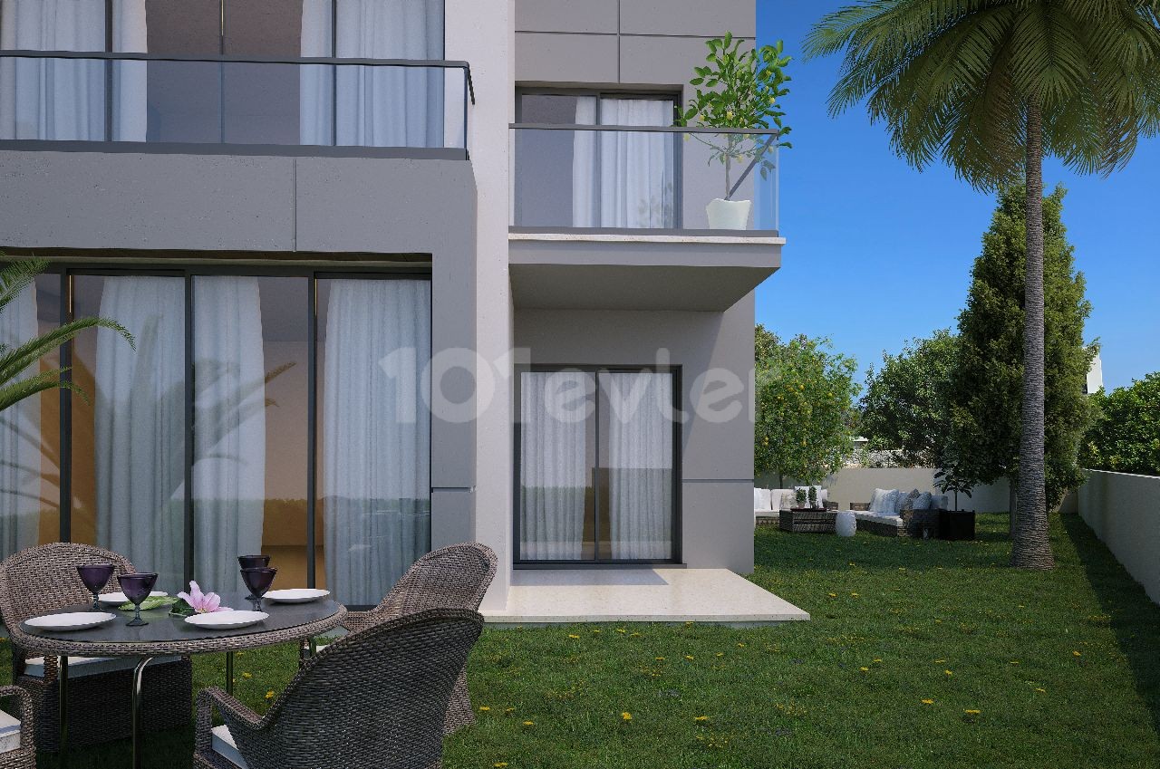 Project image 12