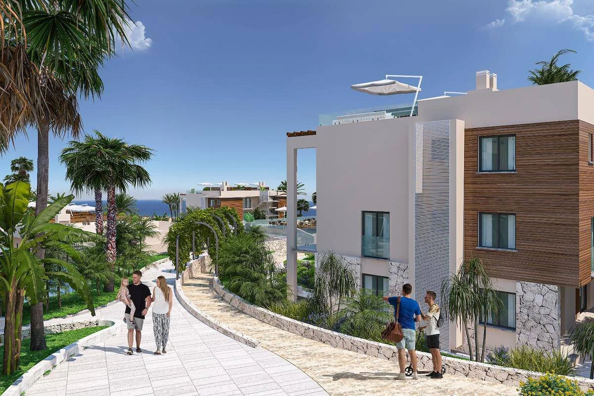 Project image 16