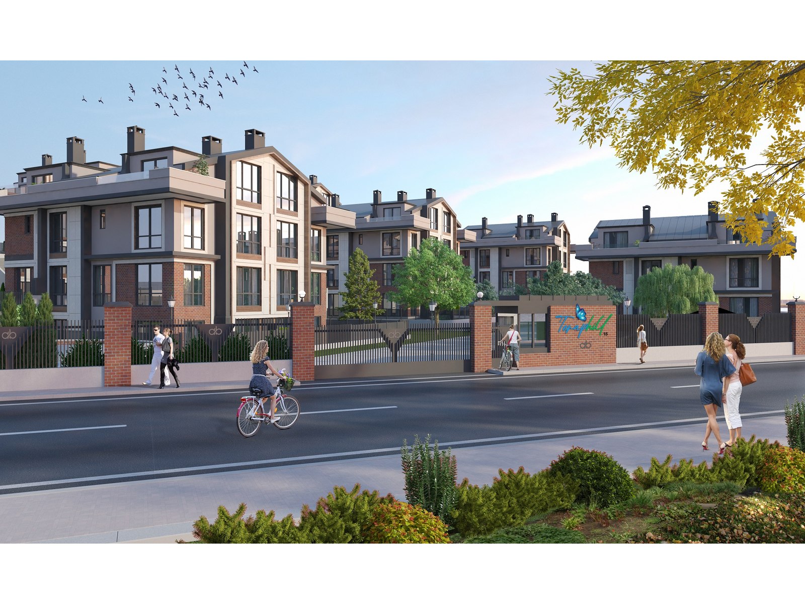 Project image 7