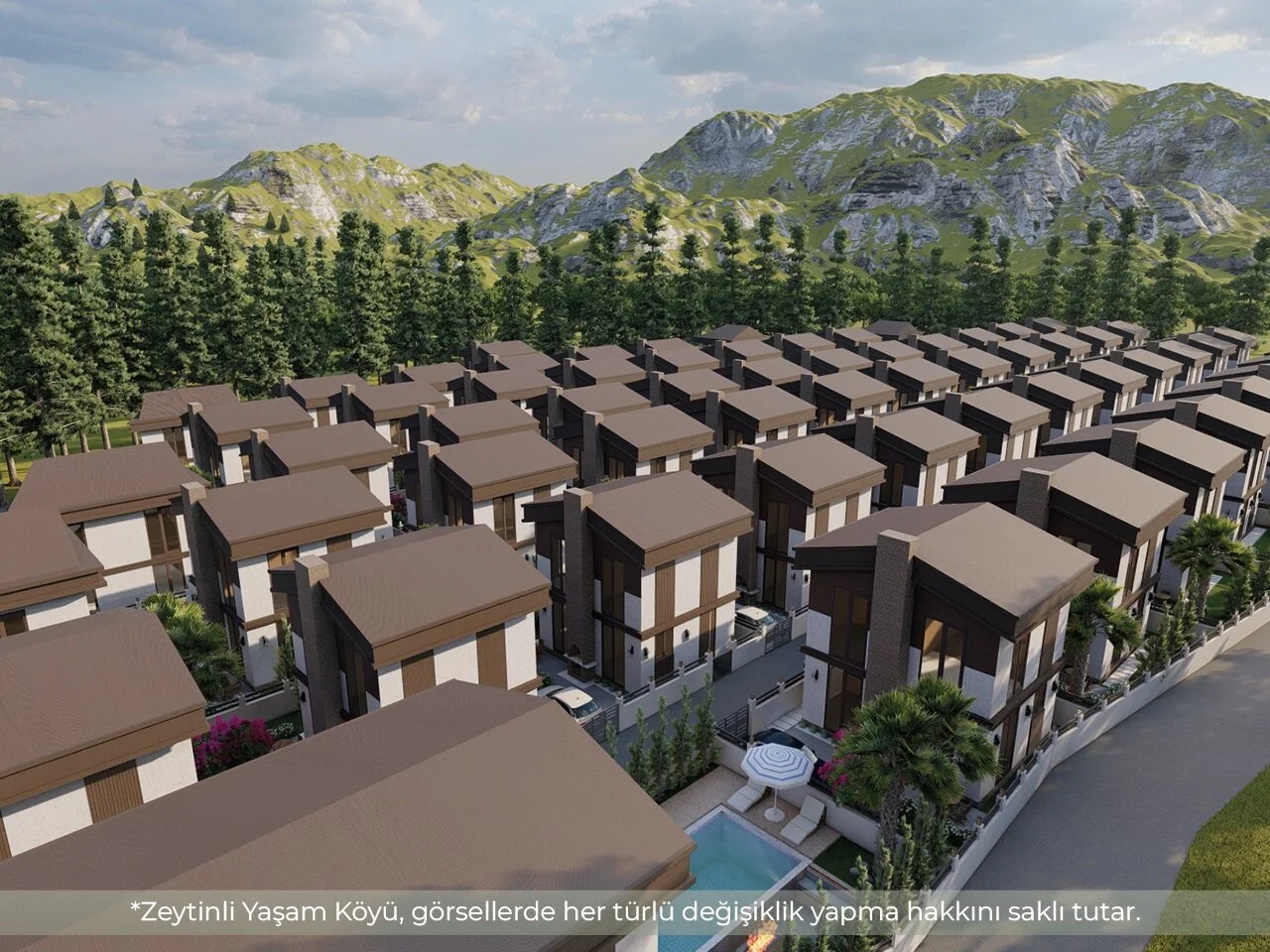 Zeytinli Yaşam Köyü