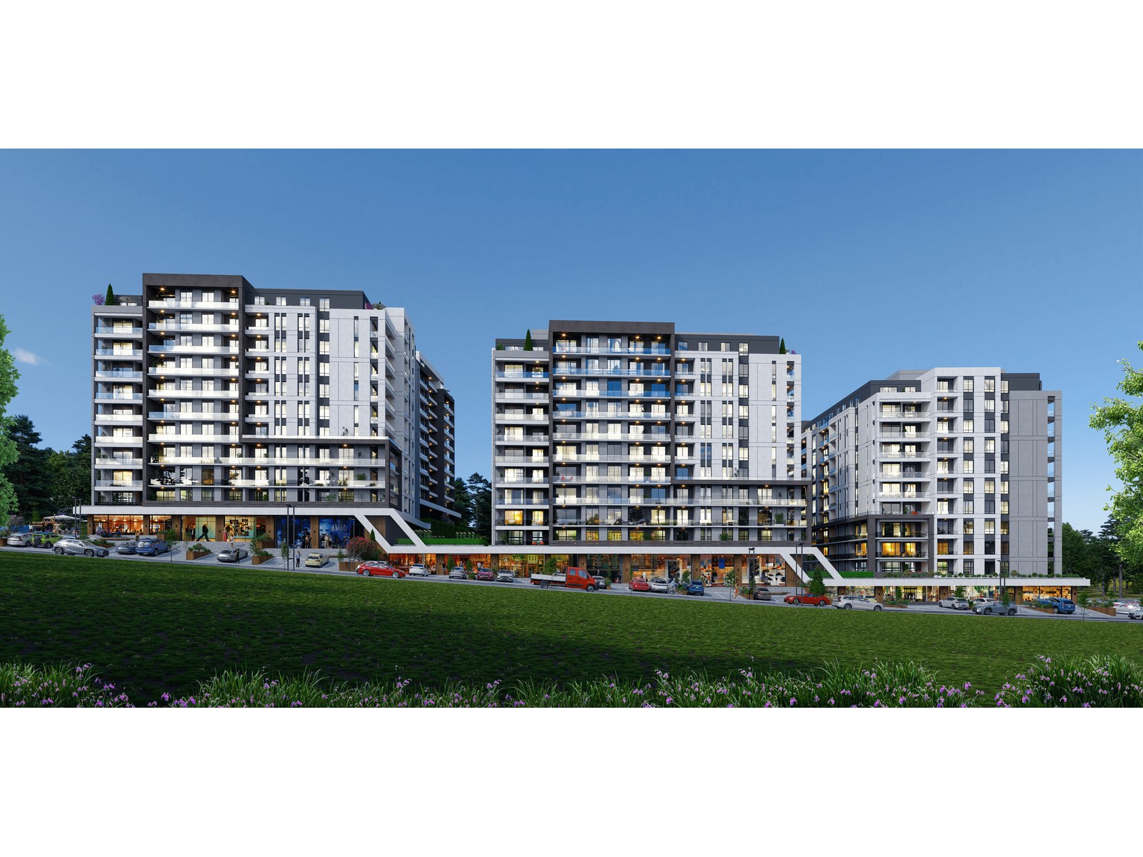 Project image 11