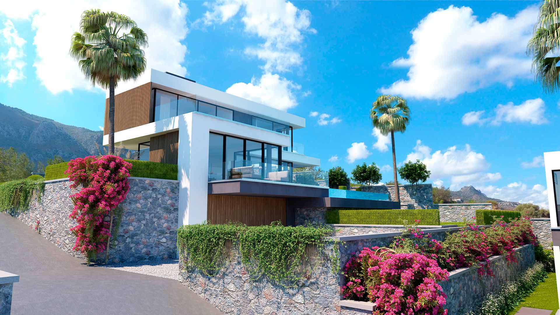 Project image 10