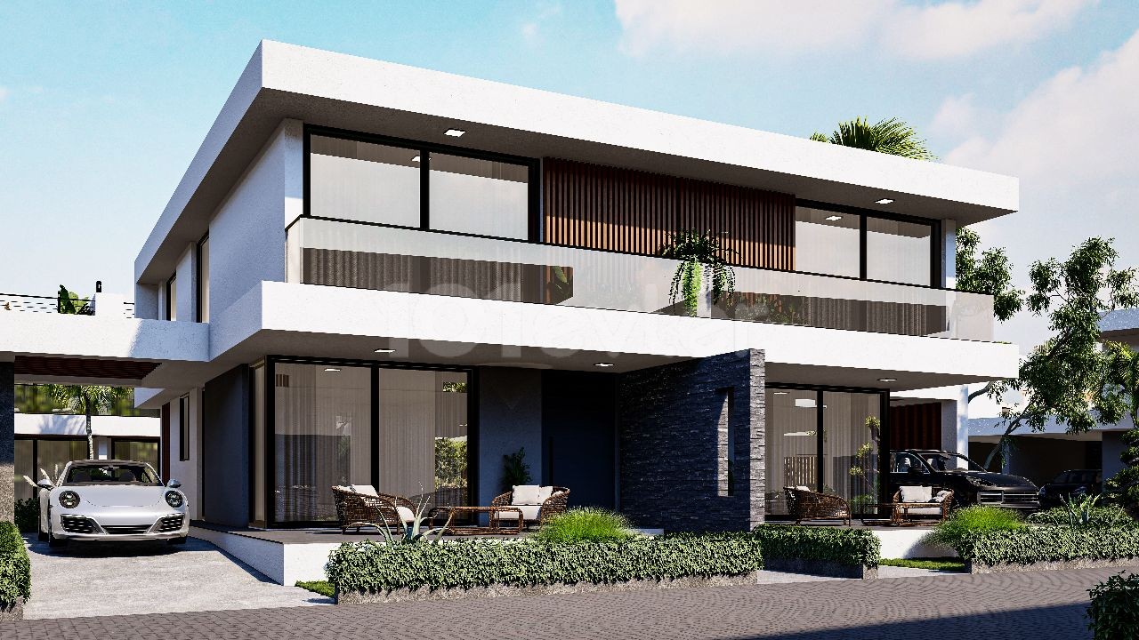 Project image 10