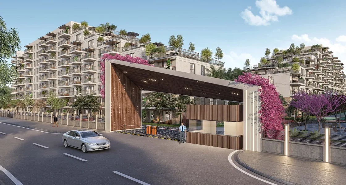 Project image 11