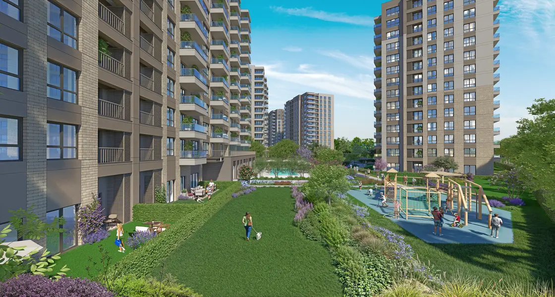 Project image 13