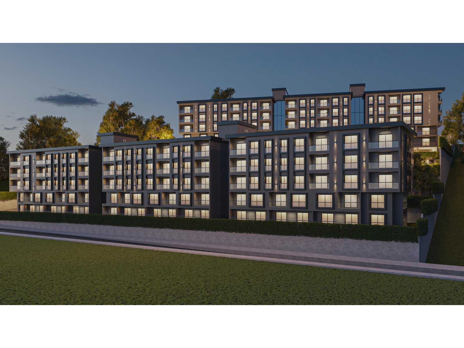 Project image 16