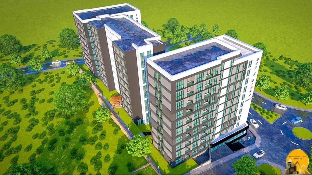 Project image 10