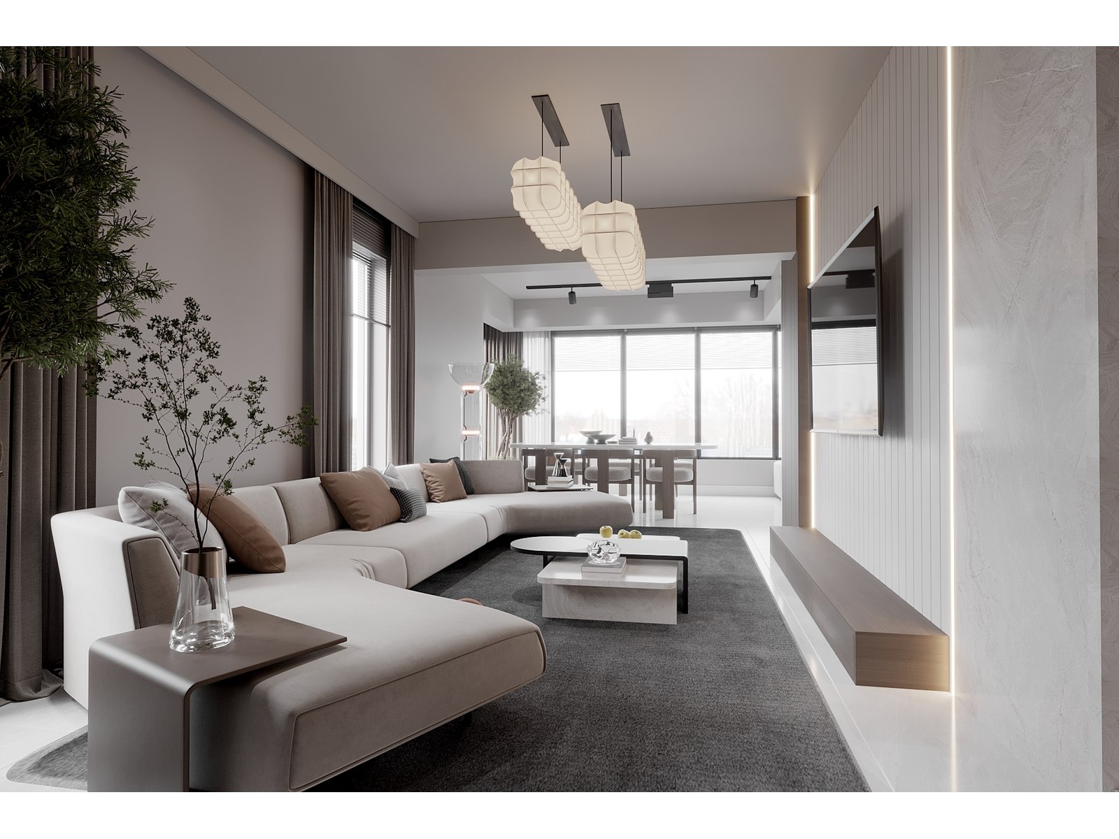 Project image 13