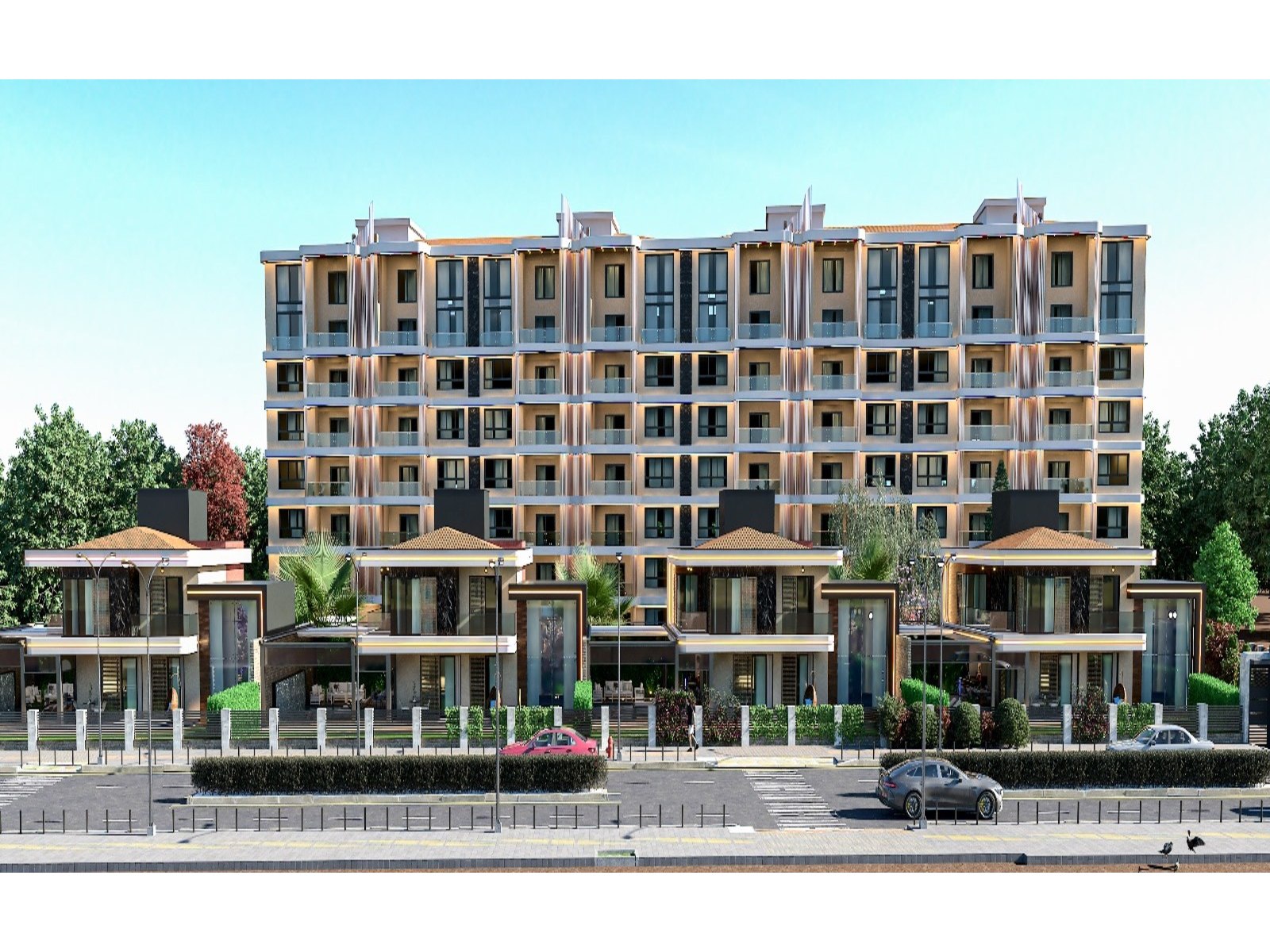 Project image 8