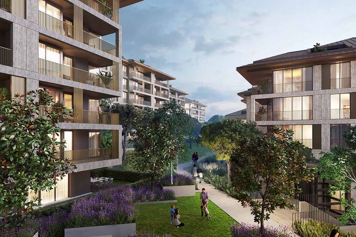 Project image 13