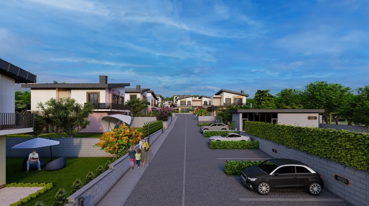 Project image 11