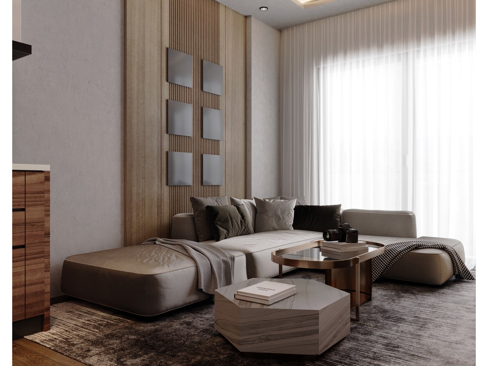 Project image 10