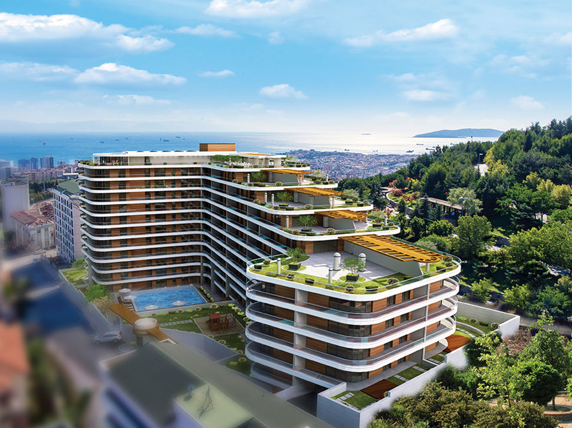 Project image 14