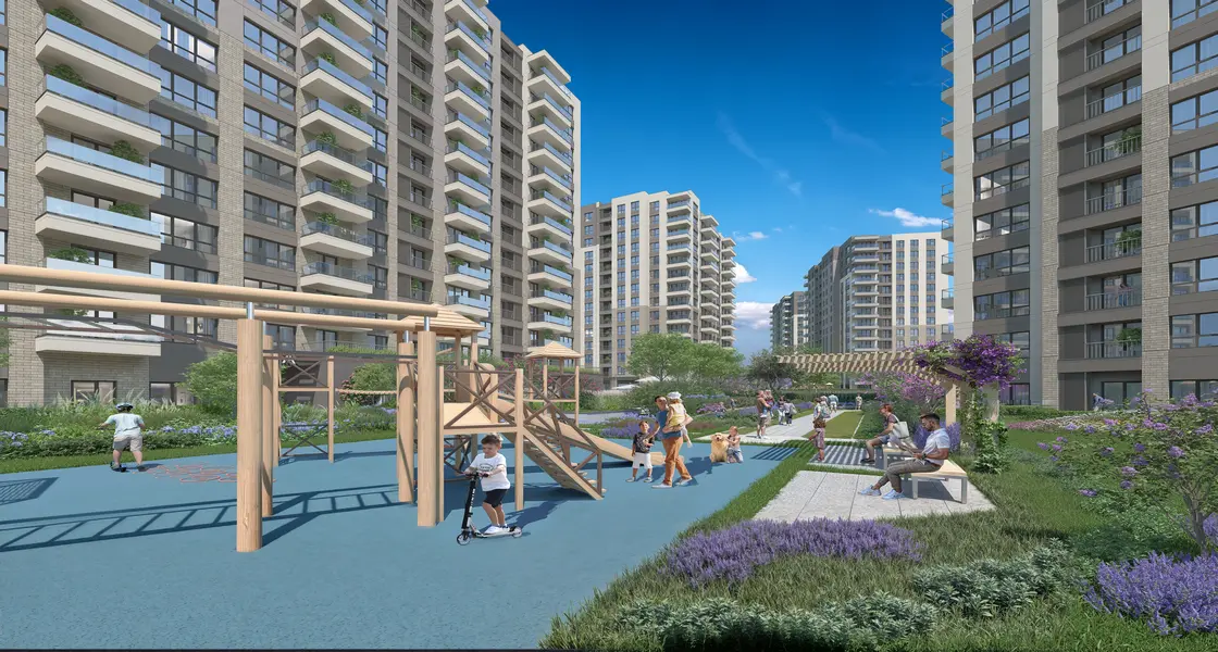 Project image 11