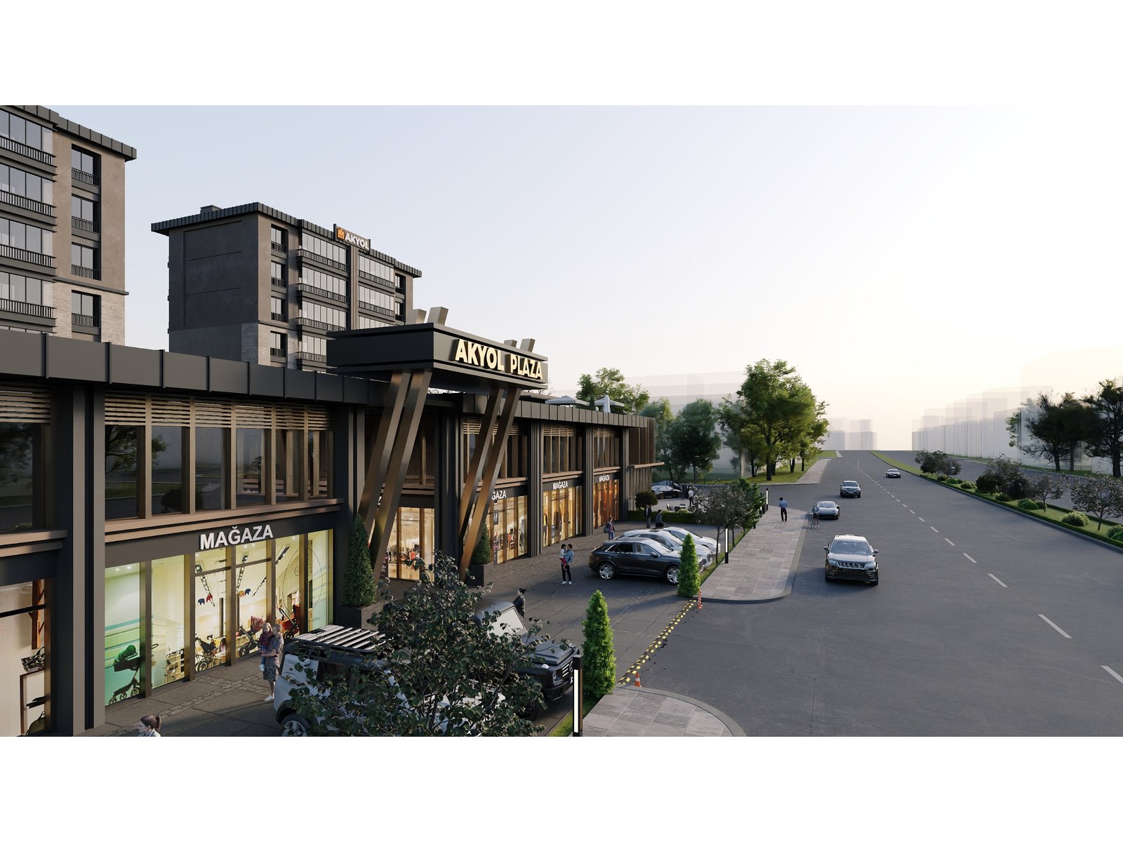 Project image 7