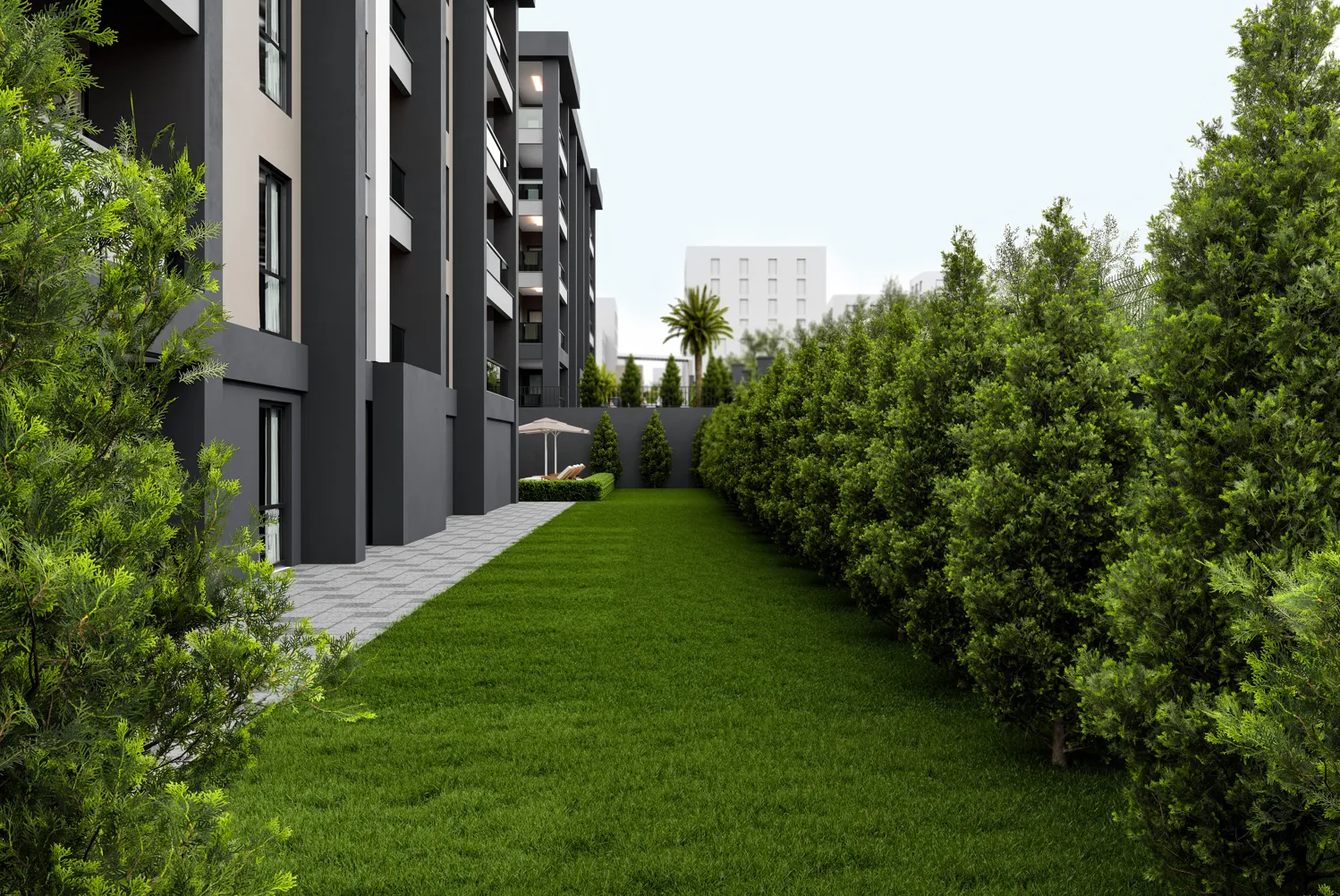 Project image 9