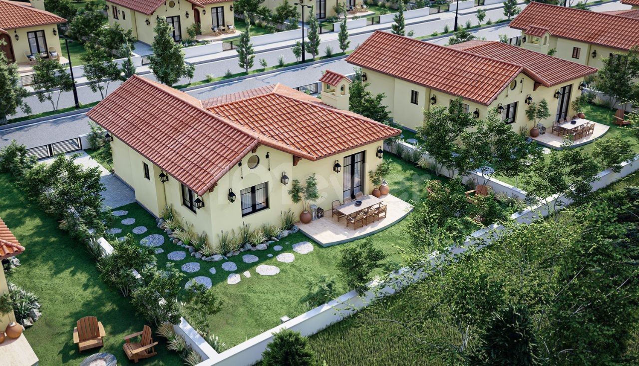 Project image 2