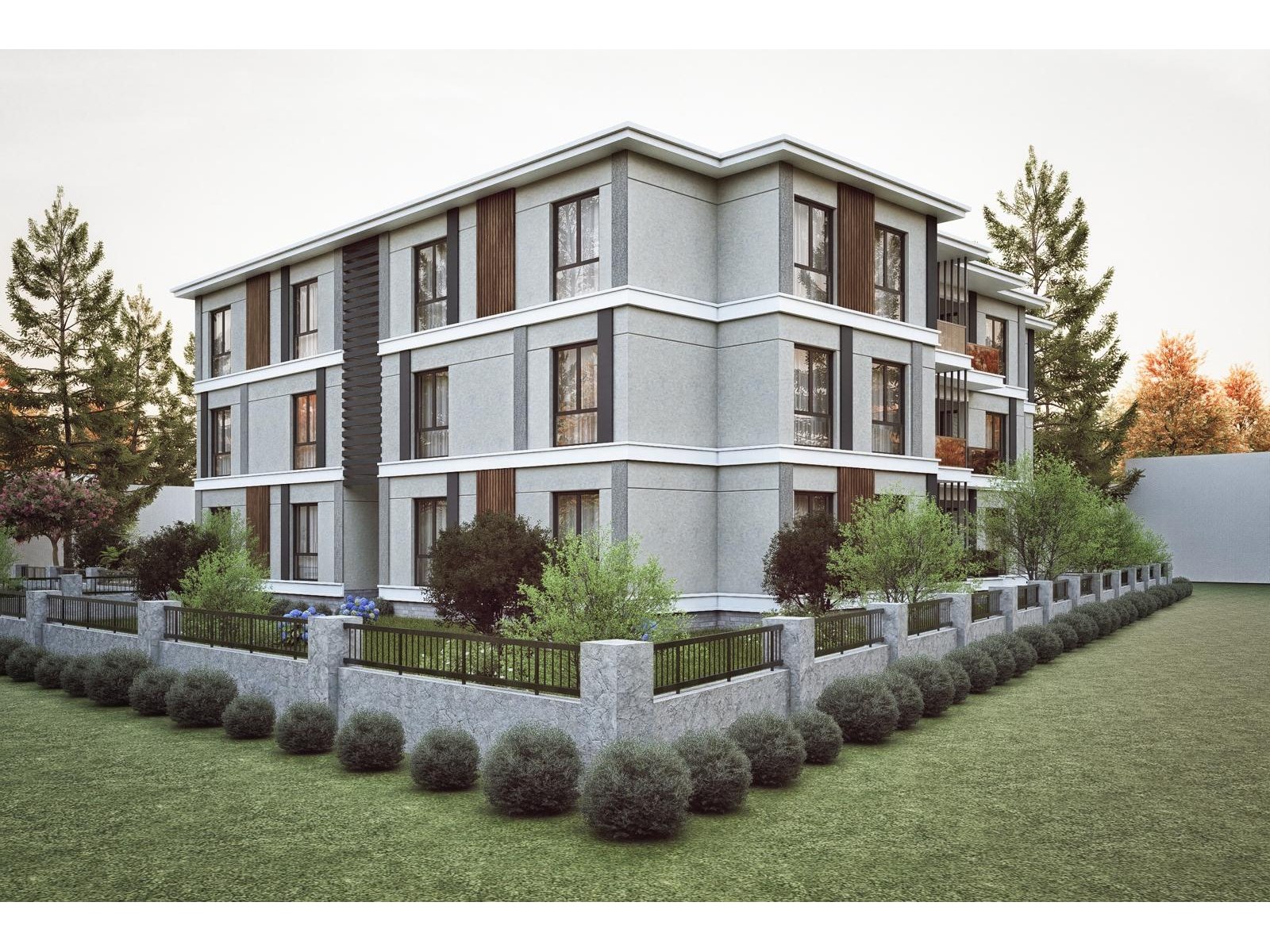 Project image 6