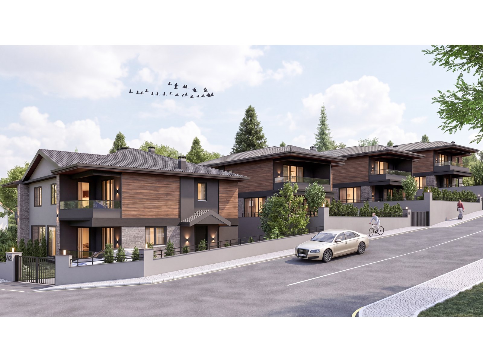 Project image 13