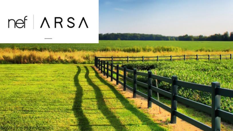 Kazancın Yeni Adresi: Nef Arsa!