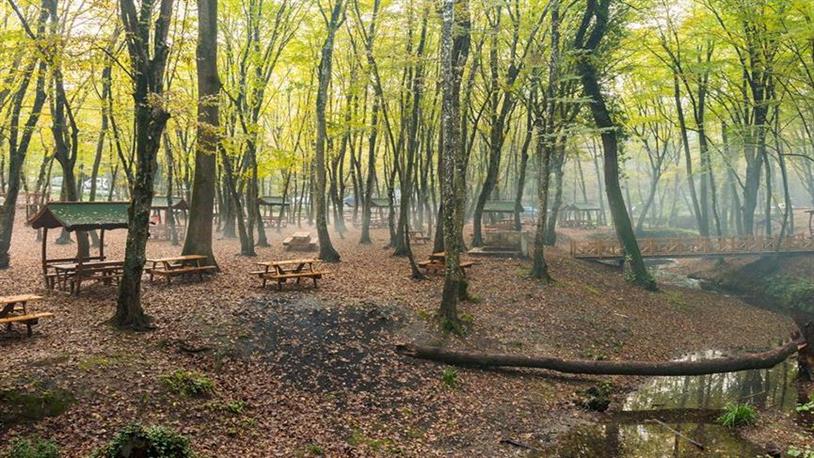Mesire Alanı nedir? A, B, C tipi mesire alanı ne anlama gelir?