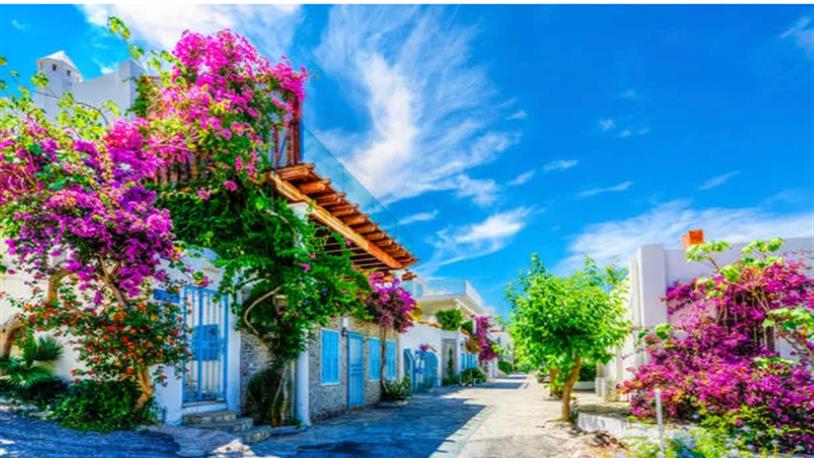 Yazlıklar kiralık ev fiyatlarını artırdı! 