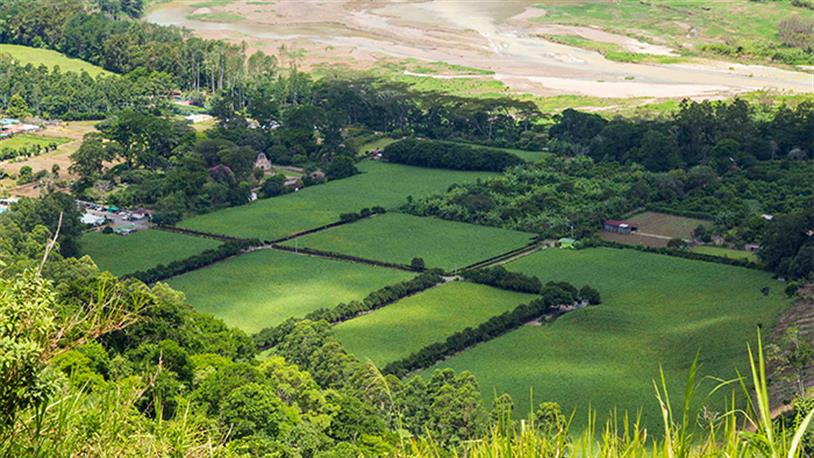 Müstakil Parseller Bağımsızlık ve Özgürlüğün Arsa Yansıması