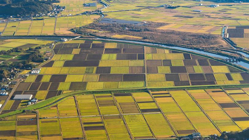 İznik Gölü Çevresinde Arsa ve Tarla Yatırımları İlgi Görüyor Fiyatlar 10 Bin TL'ye Ulaştı