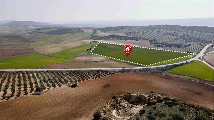 Yatırım İçin Arsa ve Tarla Alacaklara Uzman Tavsiyeleri