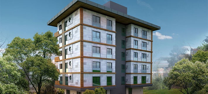 Project image 9