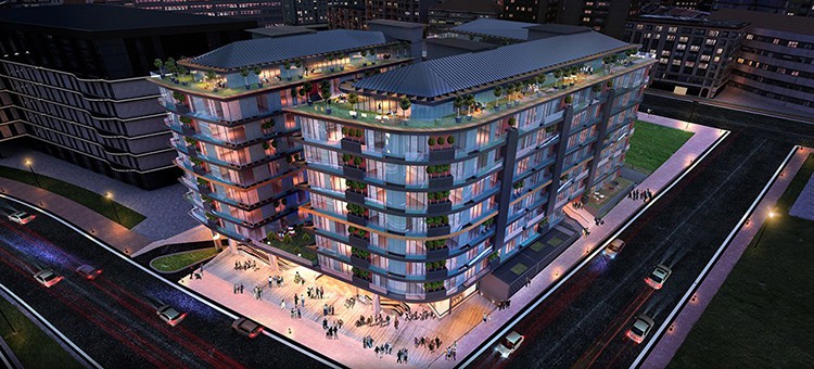 Project image 14