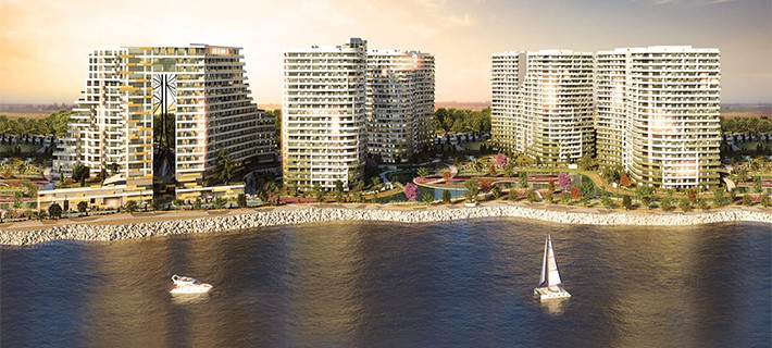 Project image 13