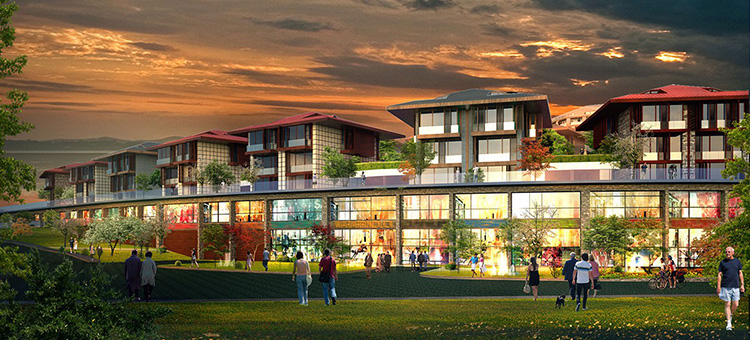 Project image 10