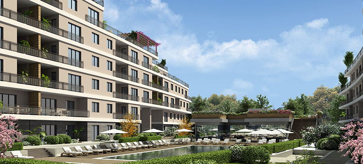 Project image 10
