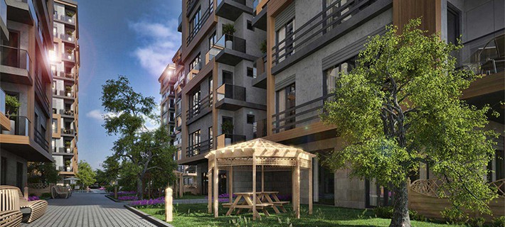 Project image 14