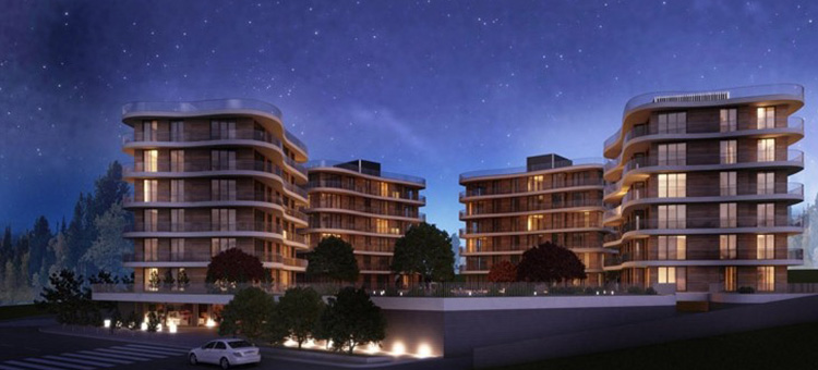 Project image 13
