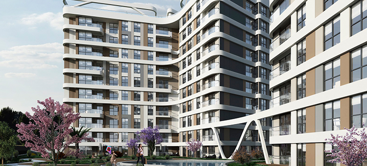 Project image 14