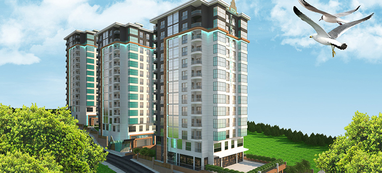 Project image 17