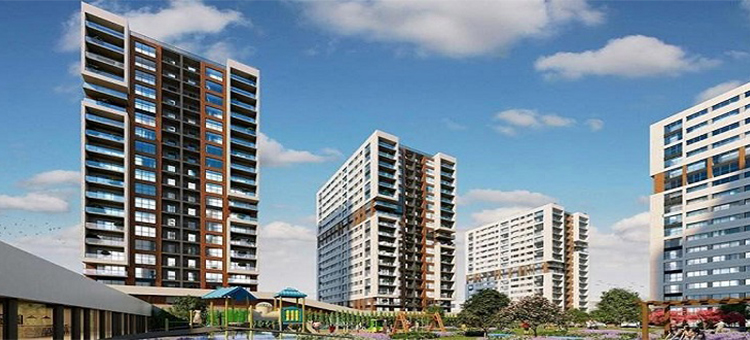 Project image 23