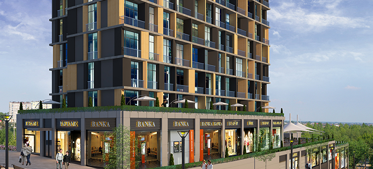 Project image 11