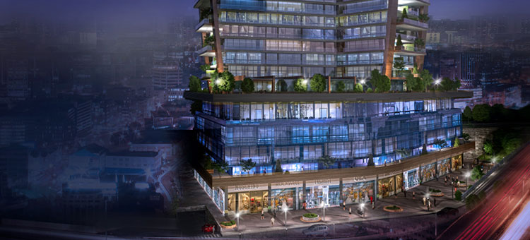Project image 13