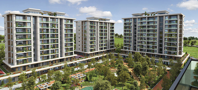 Project image 16