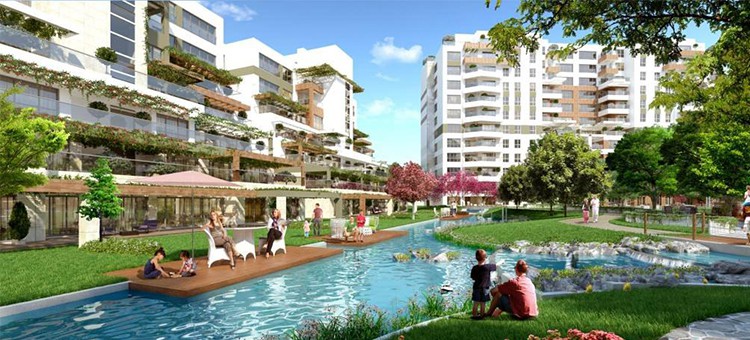 Project image 14