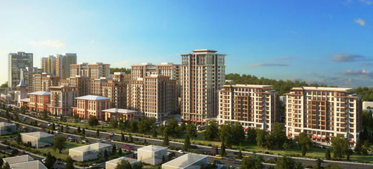 Project image 11