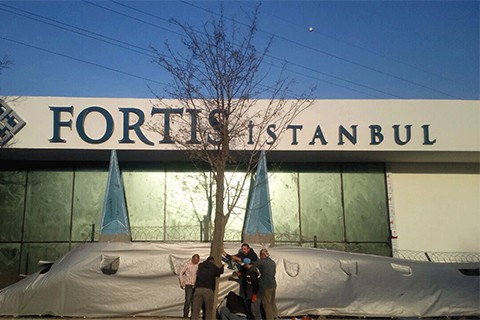 Fortis İstanbul