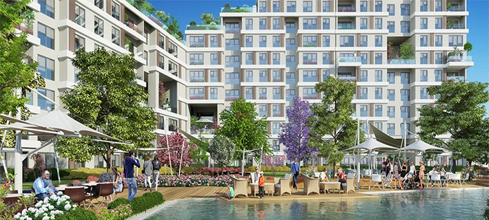 Project image 14
