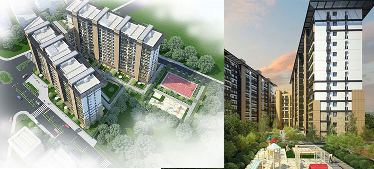 Project image 12