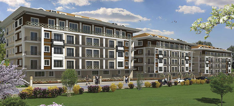 Project image 19