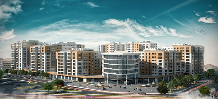 Project image 15